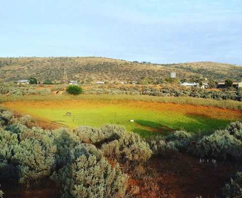 Mount Ive - Palm Beach Accommodation 0