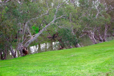 Yalooka Farm - Palm Beach Accommodation 4