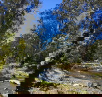 Highfield Farm and Woodland Bush Campsites - Palm Beach Accommodation