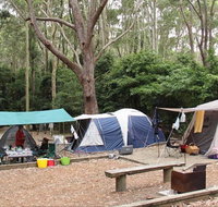 Pebbly Beach campground - Yuraygir National Park - Palm Beach Accommodation