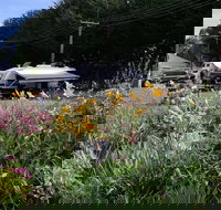 Millicent Showground RV Park - Palm Beach Accommodation