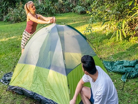 Warrabah Campground And Picnic Area - Palm Beach Accommodation 0