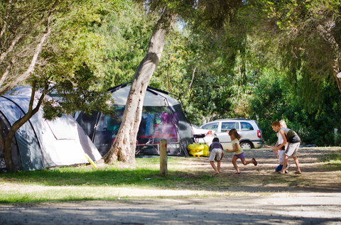 Rosebud Foreshore Camping - Palm Beach Accommodation 2