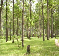 Nymboida River campground - Palm Beach Accommodation