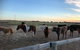 Tarnasey Farm - Bump's Barn - thumb 1