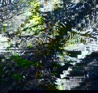 Aldgate Valley Bed and Breakfast