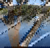 Bumberry Dam - Palm Beach Accommodation