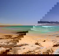 Grassy Head Holiday Park - Palm Beach Accommodation