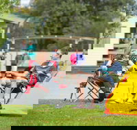 Yorketown Caravan Park - Palm Beach Accommodation