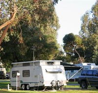 BIG4 Albany Gardens Holiday Resort - Palm Beach Accommodation