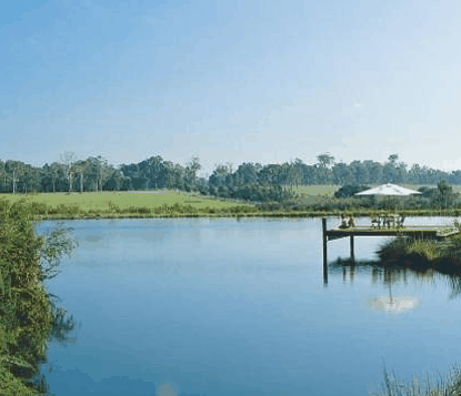 Forest Rise Eco Retreat - Palm Beach Accommodation