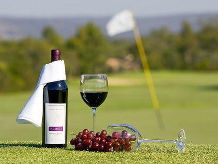 Novotel Swan Valley Vines Resort - Palm Beach Accommodation 0