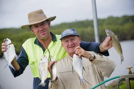 Terrace Reserve Holiday Park - Palm Beach Accommodation 1