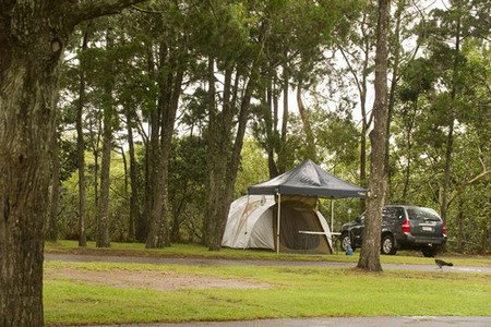 Terrace Reserve Holiday Park - Palm Beach Accommodation 3