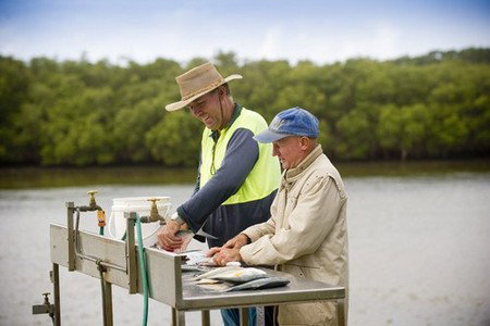 Terrace Reserve Holiday Park - Palm Beach Accommodation 5