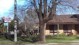 Albury Allawa Motor Inn - Palm Beach Accommodation 1