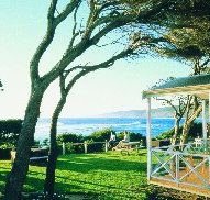 Yallingup Beach Holiday Park - Palm Beach Accommodation