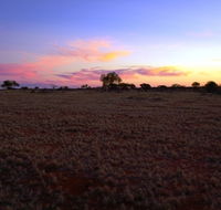 Wogarno Homestead - Palm Beach Accommodation