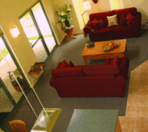 Tree Elle Retreat - Palm Beach Accommodation 0