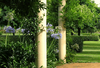Tree Elle Retreat - Palm Beach Accommodation 1