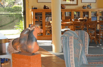 Tree Elle Retreat - Palm Beach Accommodation 2