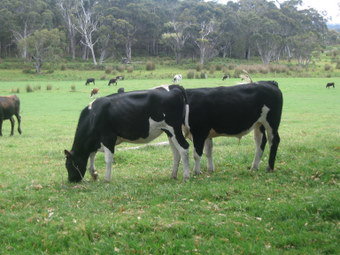 Meerup Springs Farmstay - Palm Beach Accommodation 1