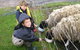 Meerup Springs Farmstay - thumb 3