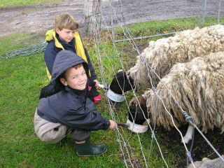 Meerup Springs Farmstay - Palm Beach Accommodation 3