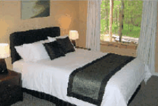 Riverway Chalets - Palm Beach Accommodation 1