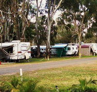 Buronga Riverside Tourist Park - Palm Beach Accommodation
