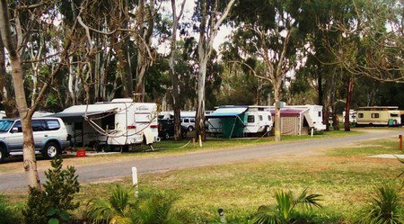 Buronga Riverside Tourist Park - Palm Beach Accommodation 0