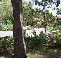 Peaceful Bay Bed and Breakfast - Palm Beach Accommodation