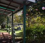 Bow River Cottage - Palm Beach Accommodation
