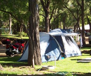 Bremer Bay Beach Resort And Tourist Park - Palm Beach Accommodation 0