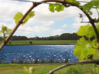 Bettenays Lakeside Loft Apartment And Vineyard Chalets - Palm Beach Accommodation 0
