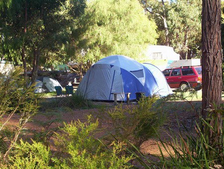 Aroundtu-It Eco Caravan Park - Palm Beach Accommodation 0