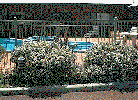 Tree Top Walk Motel - Palm Beach Accommodation 1