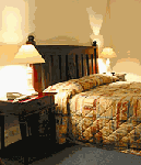 Tree Top Walk Motel - Palm Beach Accommodation 3