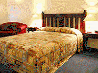 Tree Top Walk Motel - Palm Beach Accommodation 4