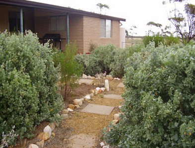 Ajana WA Palm Beach Accommodation