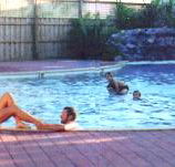 Shark Bay Caravan Park - Palm Beach Accommodation