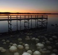 Lake Clifton Caravan Park - Palm Beach Accommodation