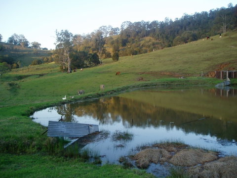 Barkeldine Farm Country Retreat - Palm Beach Accommodation 0