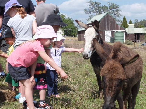 Barkeldine Farm Country Retreat - Palm Beach Accommodation 2