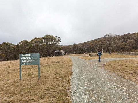 Cooinbil Hut Campground - Palm Beach Accommodation 0