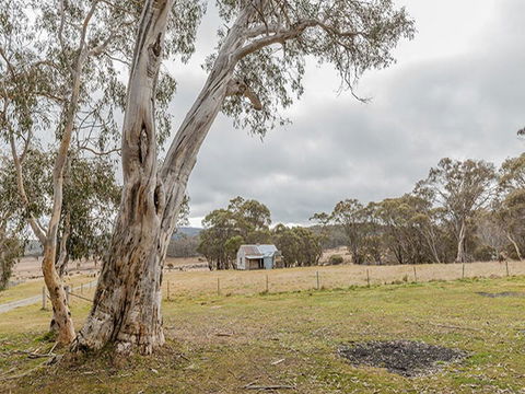 Cooinbil Hut Campground - Palm Beach Accommodation 2