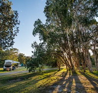 Delicate campground - Palm Beach Accommodation