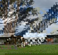 Woodenbong B and B - Palm Beach Accommodation