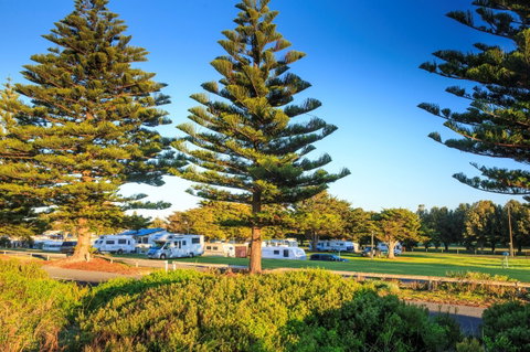 Beachport Caravan Park - Palm Beach Accommodation 1