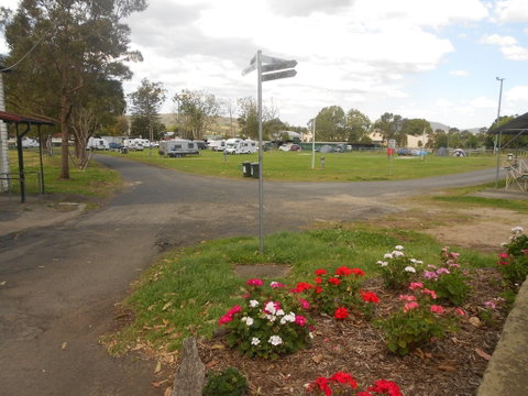 Berry Showground Camping - Palm Beach Accommodation 1